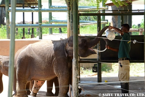 ウダ・ワラウェ　Elephant Transit Home (1)