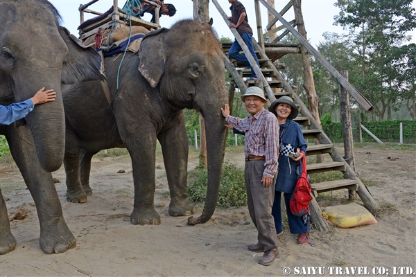 チトワン　エレファントサファリ　Chitwan Elephant Safari (14)