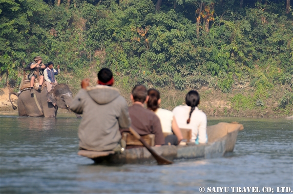 チトワン　エレファントサファリ　Chitwan Elephant Safari (8)