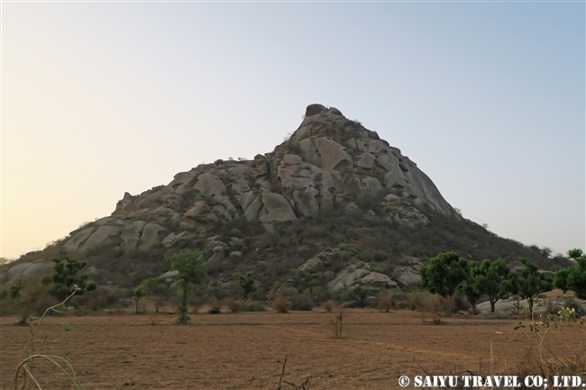 ベラ　BERA RAJASTHAN (1)