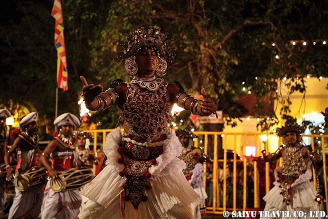キャンディ　ペラヘラ祭　アジアゾウ　Kandy Perahera Festival (1)
