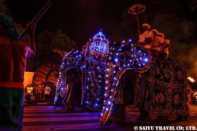 キャンディ　ペラヘラ祭　アジアゾウ　Kandy Perahera Festival (3)