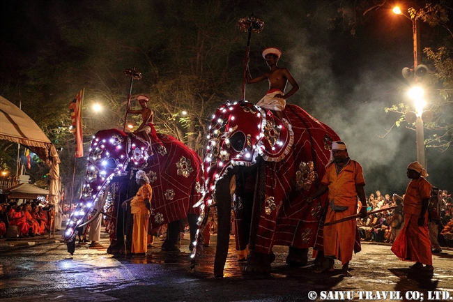 キャンディ　ペラヘラ祭　アジアゾウ　Kandy Perahera Festival (5)