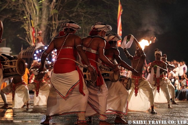 キャンディ　ペラヘラ祭　アジアゾウ　Kandy Perahera Festival (4)