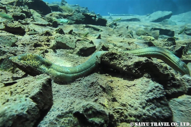 Lagoa Misteriosa　ラゴアミステリオーザ　ミステリアスラグーン (10)