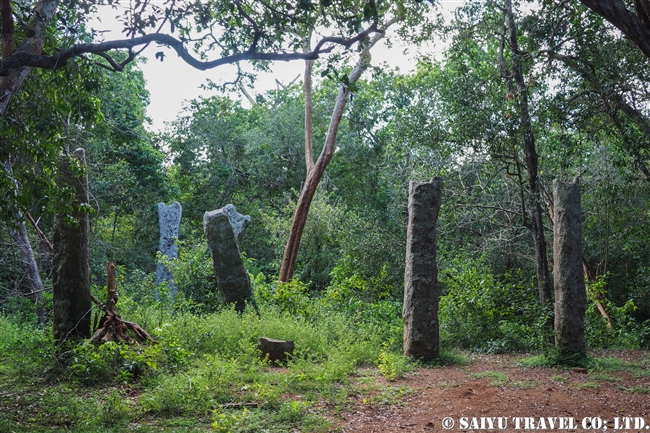 ウィルパットゥ国立公園　Wilpattu National Park　遺跡 (8)