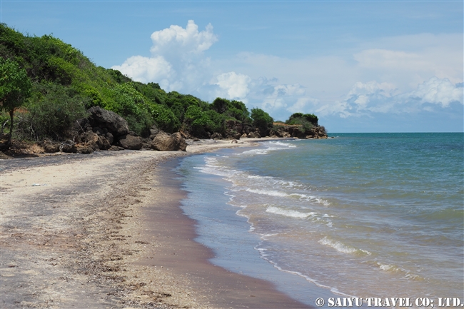 ウィルパットゥ国立公園　Wilpattu National Park (20)