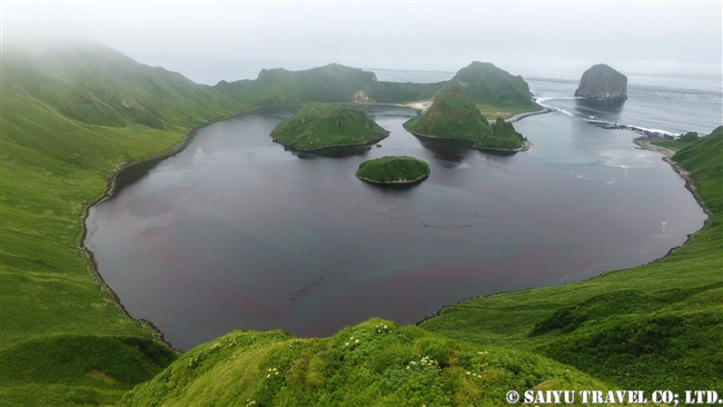 Yankicha Island Ushishir Island ウシシル島　ヤンキチャ島　千島列島 (4)