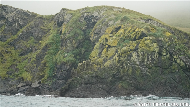 メイドニー島　コマンダルスキー諸島　プレオブラジェンスコエ　Medny Island Commander Islands Preobrazhenskoye (5)