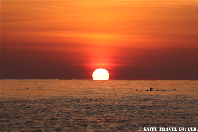 天売島　夕方のケイマフリ号 (8)