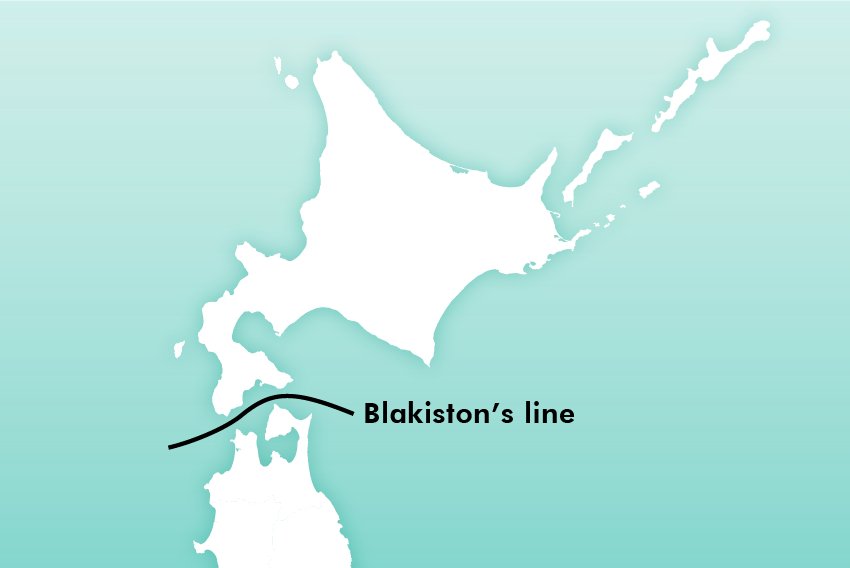 Blakiston's line