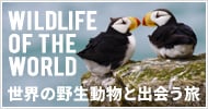 ワイルドライフツアー Wildlife of the world 世界の野生動物と出会う旅