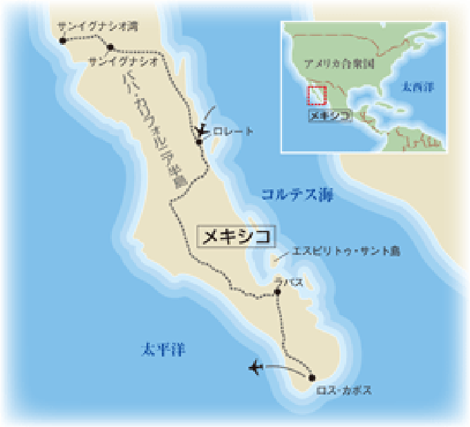 コース地図