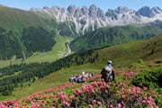 オーストリア・チロルを歩く 花咲くインスブルック・イタリア国境トレイルを行く