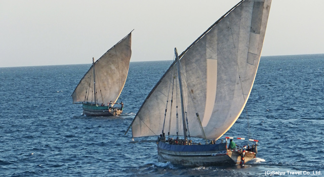 インド洋交易によって栄えた海洋文明<br>スワヒリ文化が息づくザンジバルとキルワの史跡群を訪ねて