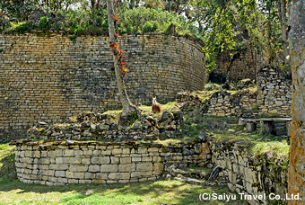 美しい石積みが残るケラップ遺跡の城壁