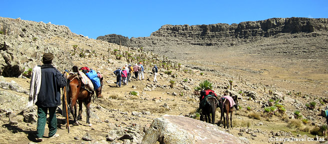 アビシニア高原の大自然を満喫<br>エチオピア最高峰ラスダシャン登頂