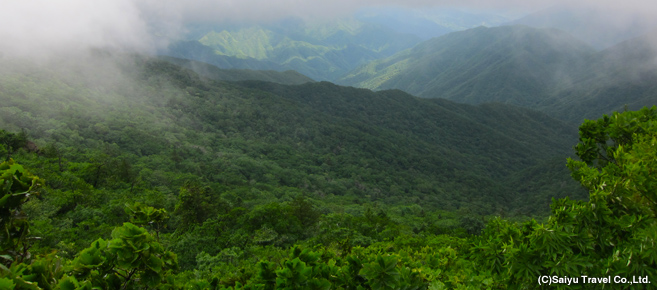 一瞬の雲の切れ間から除く、緑の美しい山の連なり