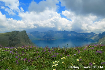 高山植物の花咲く初夏の長白天池