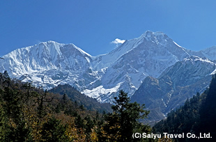 マナスル西壁から南西壁を眺めがら徐々に下っていく。ビムタンよりマナスル山群のパノラマ展望を背に、ティリジェ（2,300m）へと向かう。