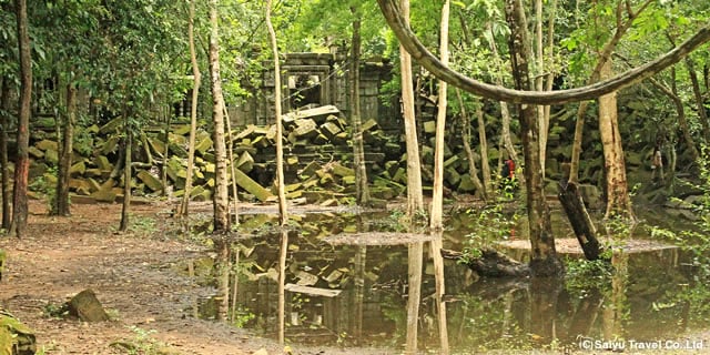 密林に眠るクメール遺跡・ベンメリア（カンボジア）