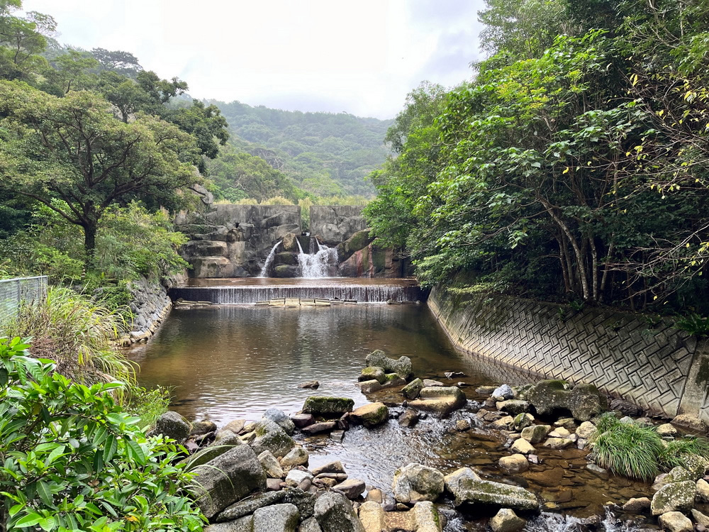 沢沿いを散策