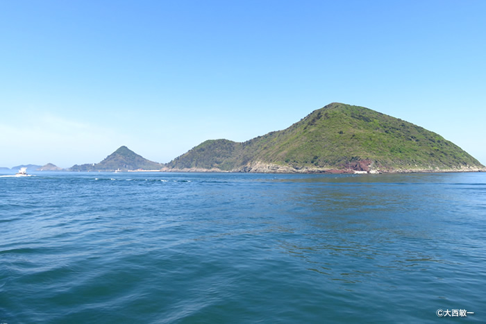 渡りの本流！韓国・春の離島【前編】