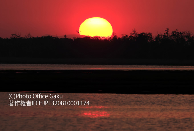 風連湖の美しい夕日