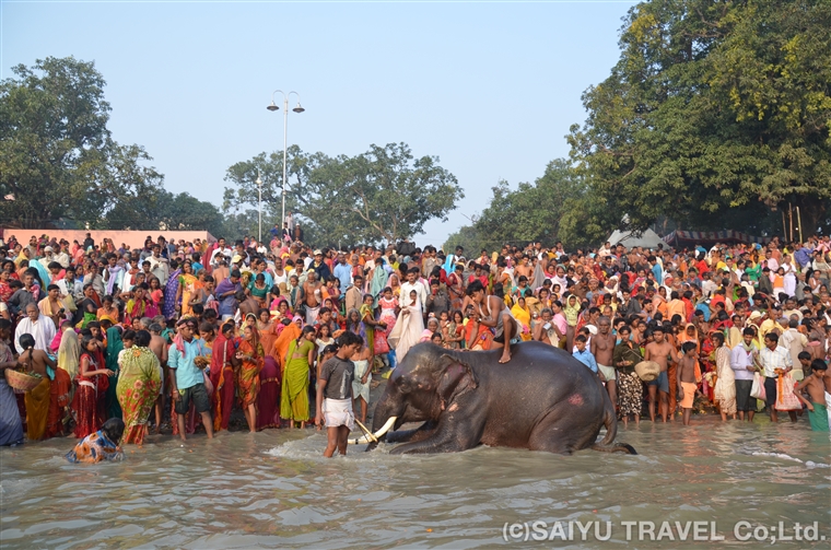 インドらしい祈りの風景に出会う　ソンプール・メーラ