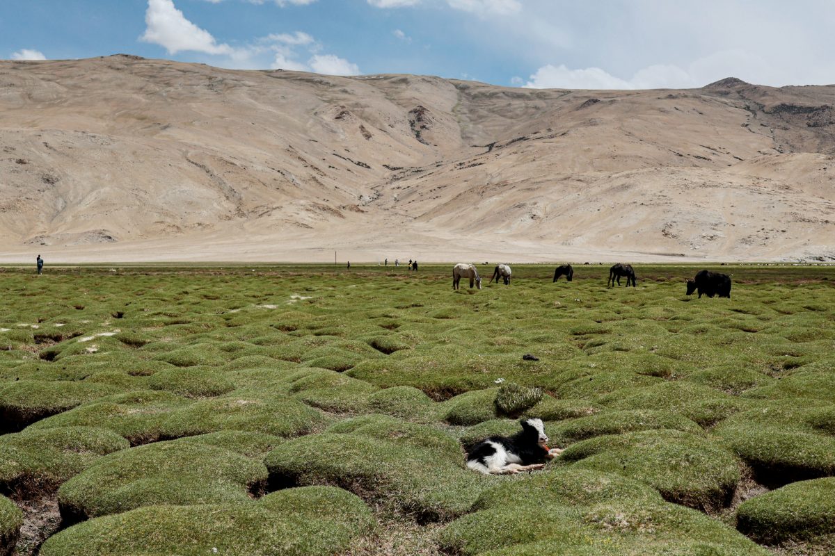 ラダックの地熱地帯  プガとチュマタン