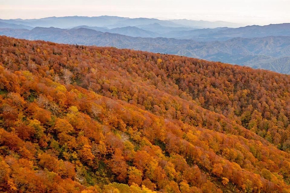 東北の紅葉真っ盛り！