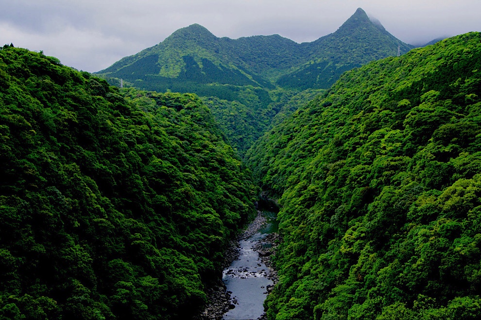 世界に誇る海と森と水の島 屋久島へ行こう！