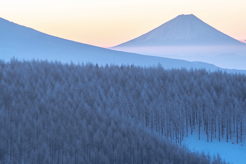 ■ツアー報告 霧氷と富士と猿をめぐる信州を撮る旅