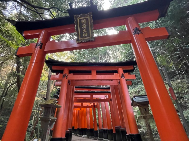 ■ツアー報告 AUTUMN COLORS JAPAN【京都奈良編】