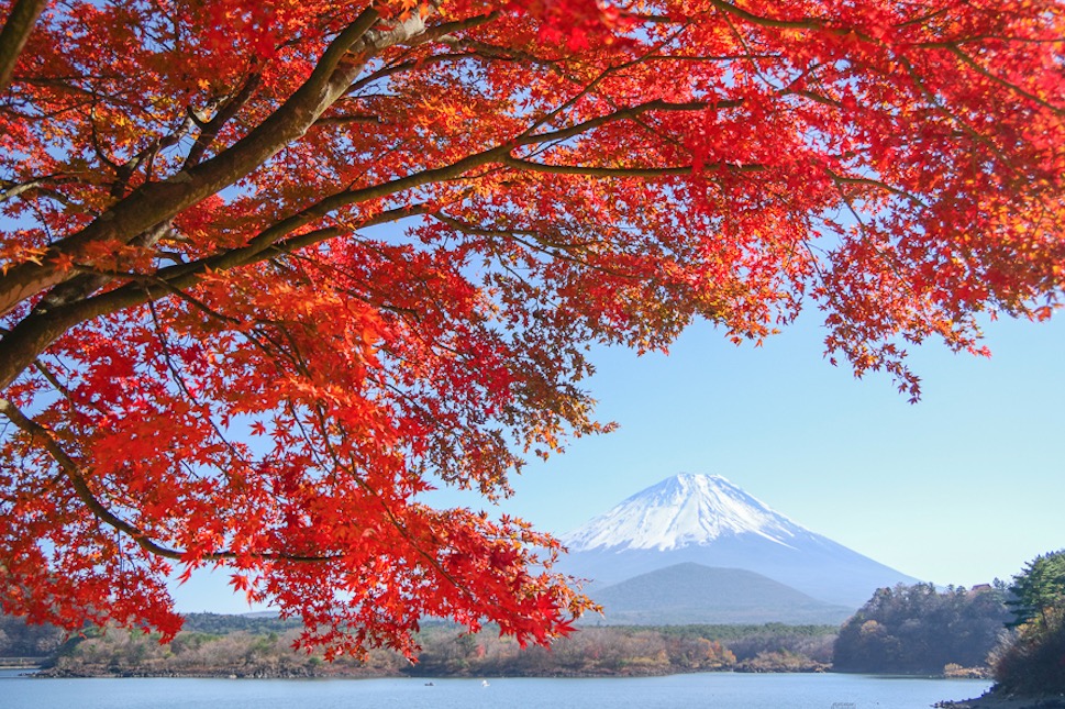 ■ツアー報告 AUTUMN COLORS JAPAN【富士山編】