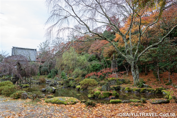 竹林院群芳園の庭園