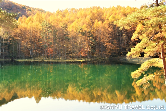 紅葉の信州 ６つの湖沼をめぐる