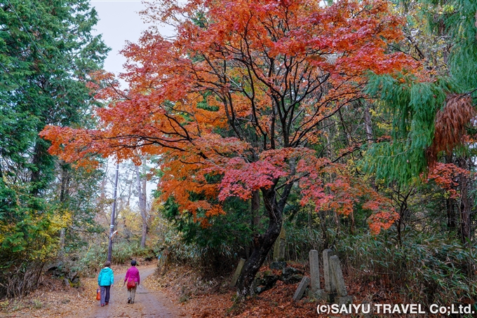 奥千本の紅葉