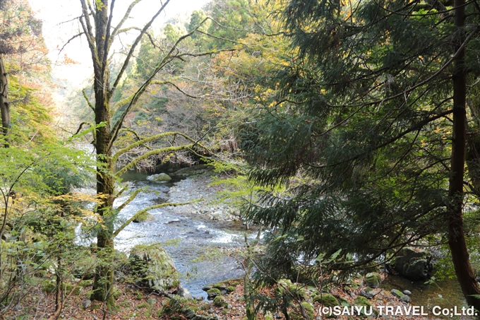 由良川と芦生の森