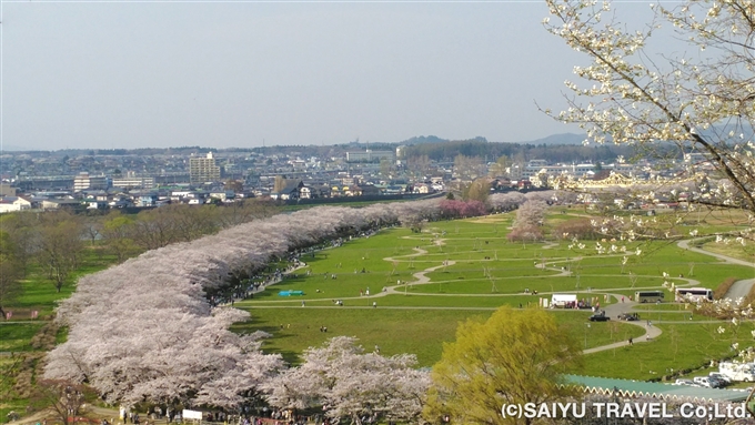 桜咲く色彩の奥羽ゆったり縦断5日間<br>①岩手から秋田編