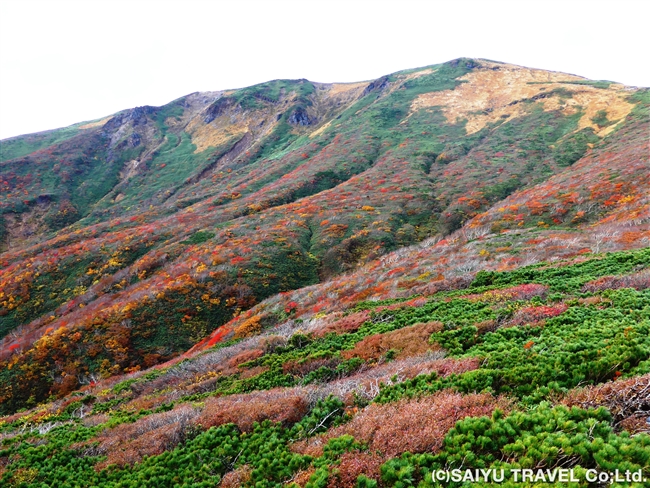 秋の東北スペシャル<br>紅葉のみちのくの名峰７座登頂と７つの名湯巡り