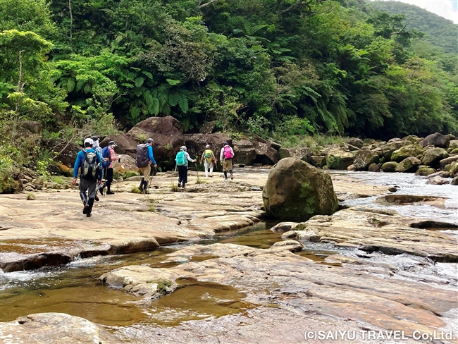 西表島大縦走と<br>最高峰・古見岳＆沖縄最高峰・於茂登岳登頂