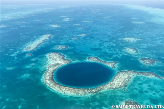 Belize ベリーズ　ブルーホール　ダイビング (8)