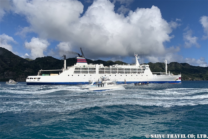 お見送り　小笠原航路の海鳥 (12)