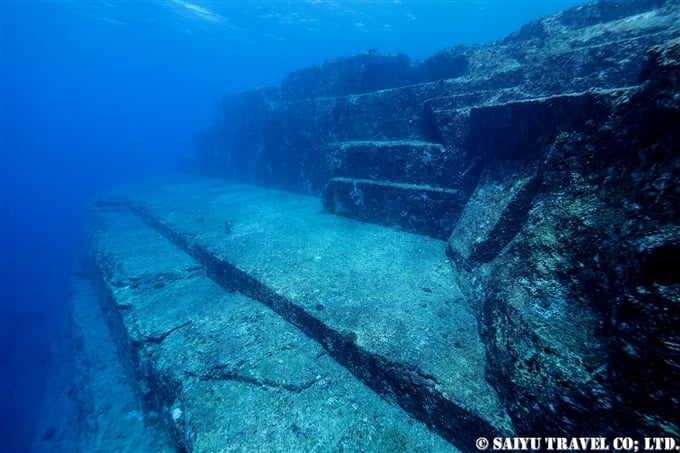 与那国ハンマー　Yonaguni Hammerhead sharks Diving at Yonaguni Island (3)