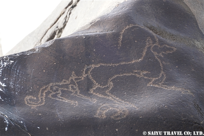 アイベックスとユキヒョウ Ibex & Snow leopard チラス岩絵　Chilas Rock carving Petroglyph (1)