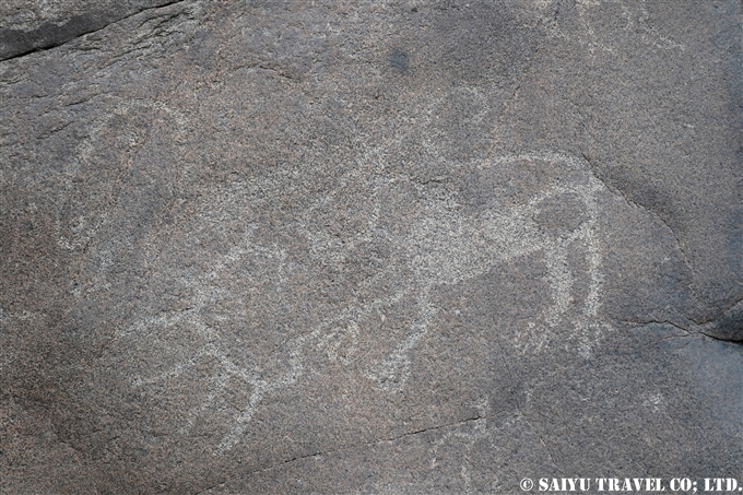 アイベックスとユキヒョウ Ibex & Snow leopard チラス岩絵　Chilas Rock carving Petroglyph (8)