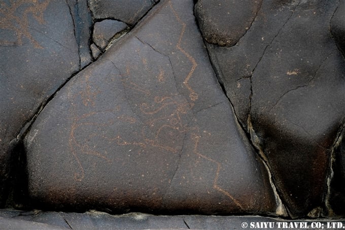 アイベックスとユキヒョウ Ibex & Snow leopard チラス岩絵　Chilas Rock carving Petroglyph (11)