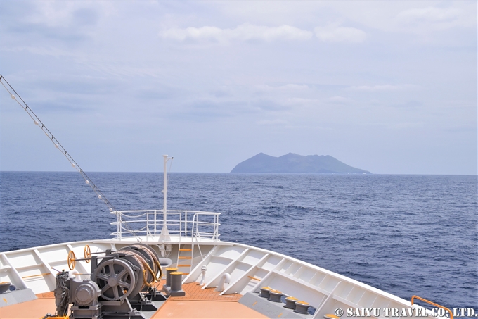 ①アホウドリ最大の繁殖地鳥島へ アホウドリ　鳥島クルーズShort-tailed Albatross Tori-shima Island