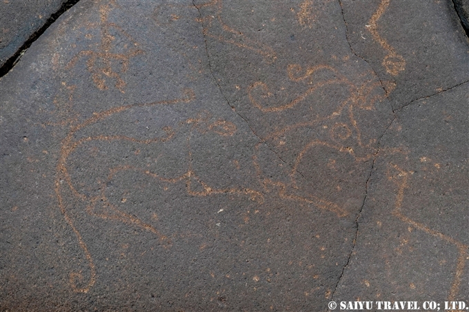 アイベックスとユキヒョウ Ibex & Snow leopard チラス岩絵　Chilas Rock carving Petroglyph (12)